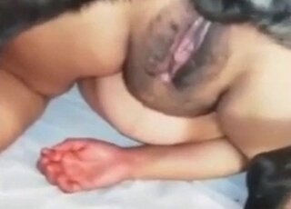 Animal Porn Zilla