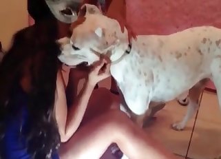 Dress-wearing zoophile licked by a dog