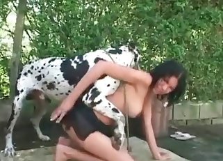 Dalmatian fucking a hot babe from behind