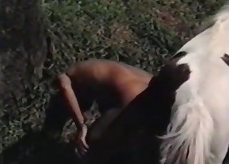Stunning outdoor bestiality porn action