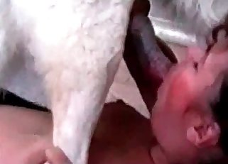 Cute and dirty bestiality pound session