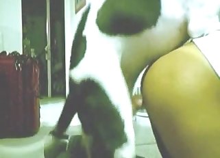 Spotted doggo drilling owner's asshole