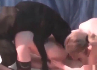 FFM with a black stockings dog fucker hottie