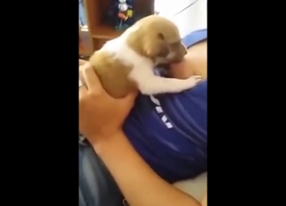 Cock-hardening breast milk fetish zoo scene