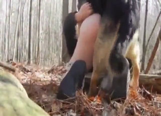 Hot, fit, and horny guy fucked by a sexy dog