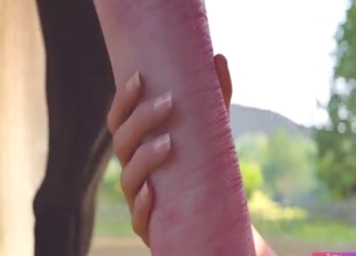 First-time bestiality sex, another diary entry