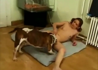 Redheaded lady is going to suck her sexy dog