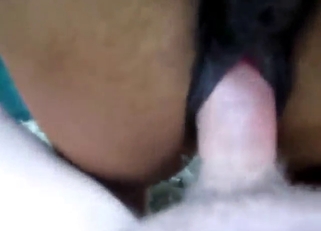 Dude sets his sights on this mare's hot pussy