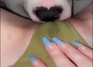 Horny dog is going to please her wet vagina