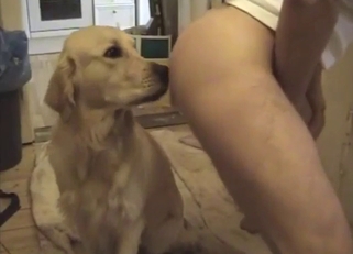 Dog's the motherfucking oral beast-king here