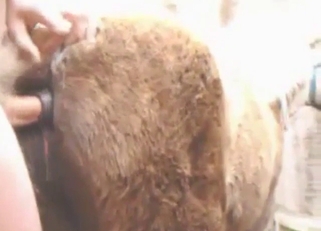Dude rear-ending a nasty beast slut from behind