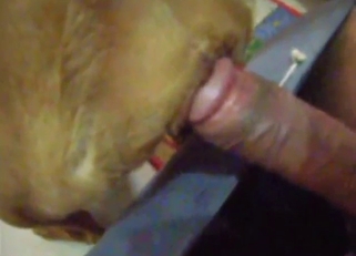 Bitch-ass beast taking a huge cock inside