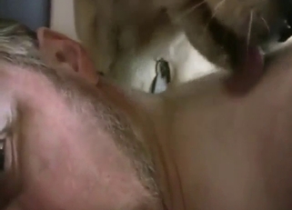 Sloppy foreplay with a dog licking his face