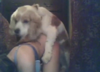 Geeky girl in blue lingerie claimed by a dog