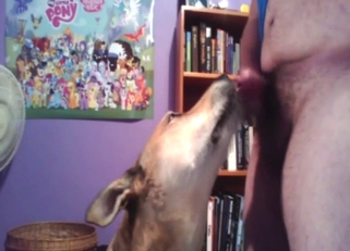 Oral bestiality porn with a lucky motherfucker