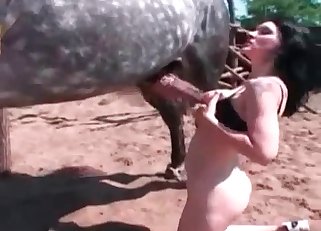 Busty chick likes brutal sex