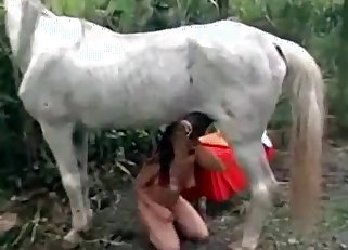 Good white horse in amazing bestiality XXX