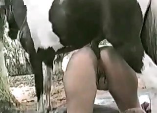 She s fucked in the ass by a horse