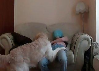 Thick dog is in the right mood