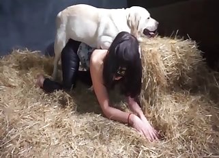 Seduced hottie got screwed by a doggy