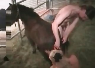Impressive bestiality in the barn