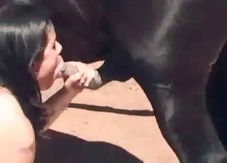 Nice load from a black horse