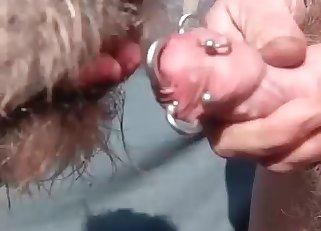 Dog gives a nice head for zoophile owner