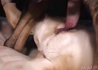 Hottest kind of bestiality sex out there