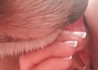 Pierced pussy is being fucked by dog